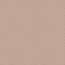 Load image into Gallery viewer, Darius Blush Roman Blind