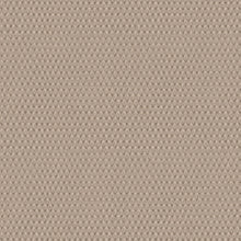 Load image into Gallery viewer, Darius Champagne Roman Blind