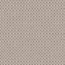 Load image into Gallery viewer, Darius Silver Roman Blind