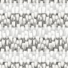 Load image into Gallery viewer, Irena Graphite Day & Night Blind