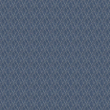Load image into Gallery viewer, Ayala Indigo Roman Blind
