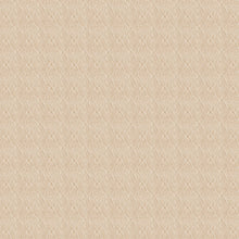 Load image into Gallery viewer, Ayala Champagne Roman Blind
