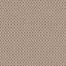 Load image into Gallery viewer, Darius Latte Roman Blind
