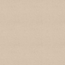 Load image into Gallery viewer, Fitz Champagne Roman Blind
