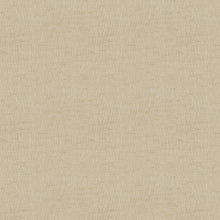 Load image into Gallery viewer, Cadi Apple Roman Blind

