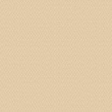 Load image into Gallery viewer, Remy Champagne Roman Blind
