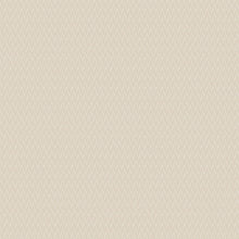 Load image into Gallery viewer, Remy Ivory Roman Blind
