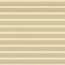 Load image into Gallery viewer, Nina Light Gold Pleated Blind
